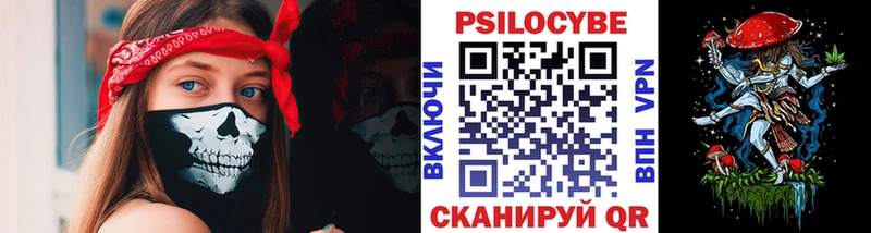 MEGA как войти  мориарти формула  Псилоцибиновые грибы Magic Shrooms  Чайковский 