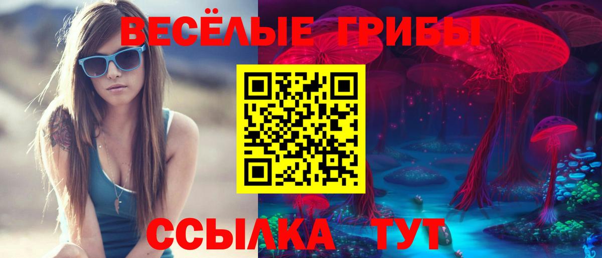 Чайковский  Псилоцибиновые грибы Psilocybe  Вход с VPN 