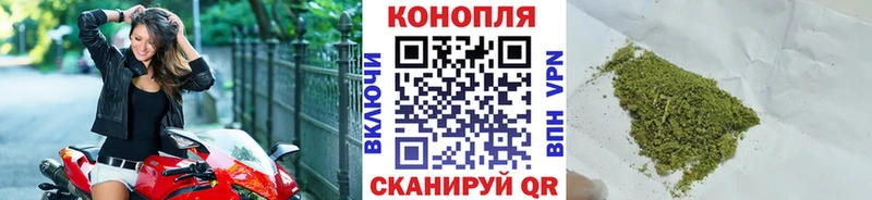 Марихуана индика  Чайковский 